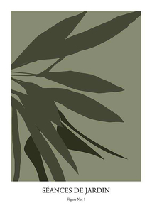 Botanical Graphic No1-1