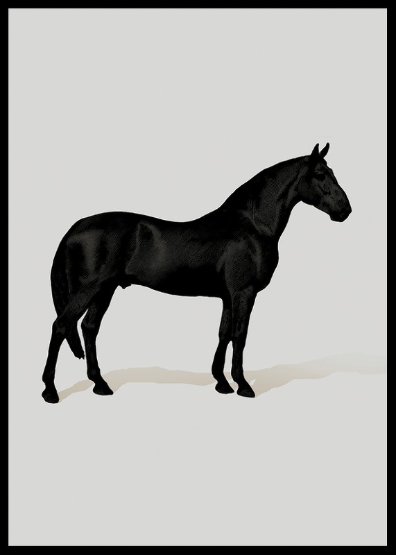 Black Horse Port. Drawing-2