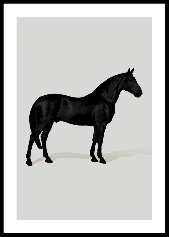 Black Horse Port. Drawing-0