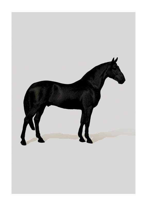 Black Horse Port. Drawing-1