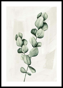 Eucalyptus Watercolor-0