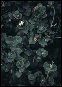 Dark And Green Botanical-2