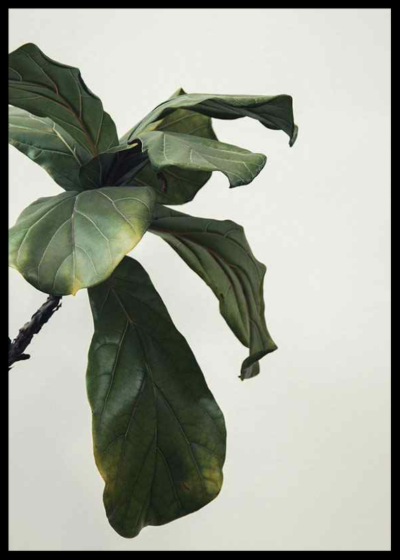 Botanical Leaves-2