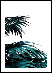 Palm Leaves Modern-0