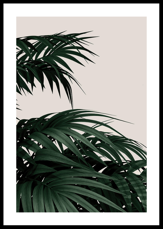Palm Leaves Natural-0