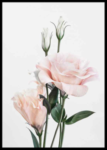 Rose Bouquet No1-2