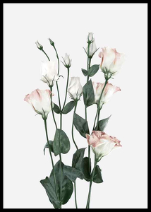 Rose Bouquet No2-2