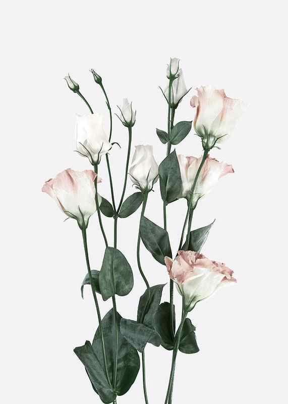 Rose Bouquet No2-3