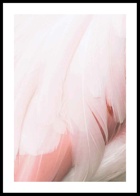 Flamingo Feathers-0