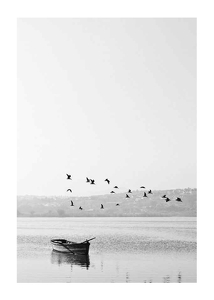 Birds over lake-1