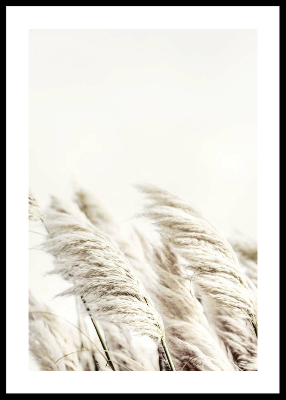 Reed In Wind-0