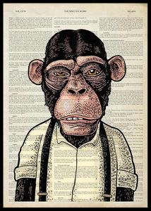 The Chimpanzee -0