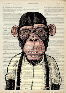 The Chimpanzee -1