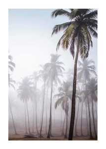 Palms In Haze-1