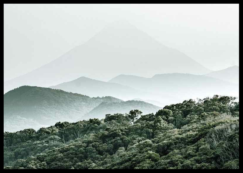 Mountain Forest-2