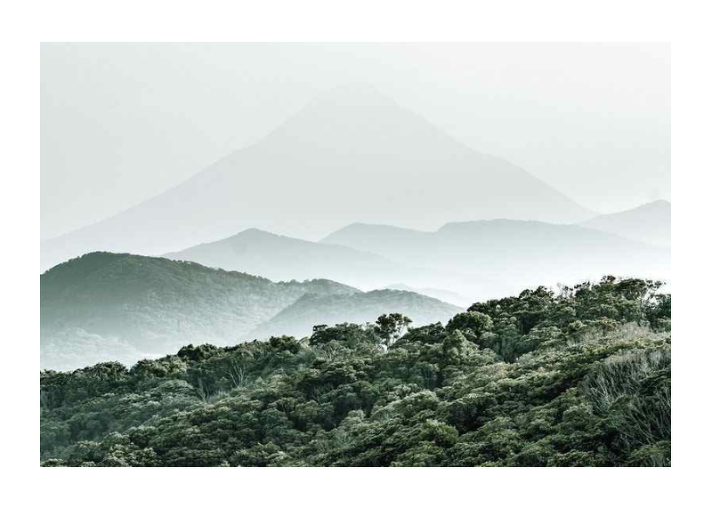 Mountain Forest-1
