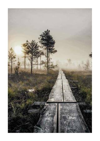 Poster Torronsuo Wilderness