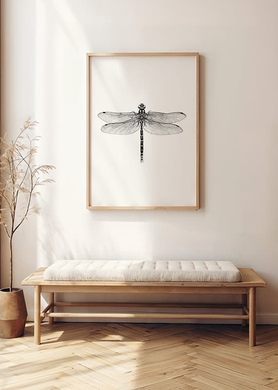 Poster Sanna Wieslander Dragonfly crossfade