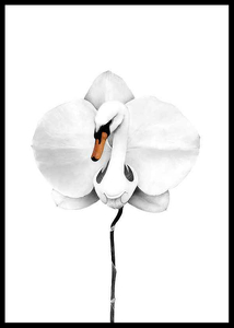 Sanna Wieslander Swan Orchid-0