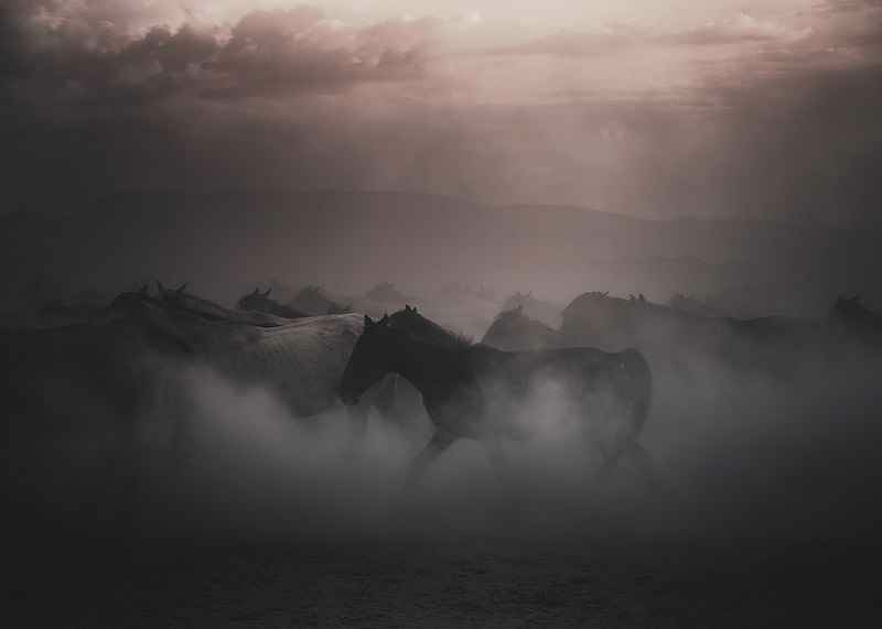 Sunset Horses-3