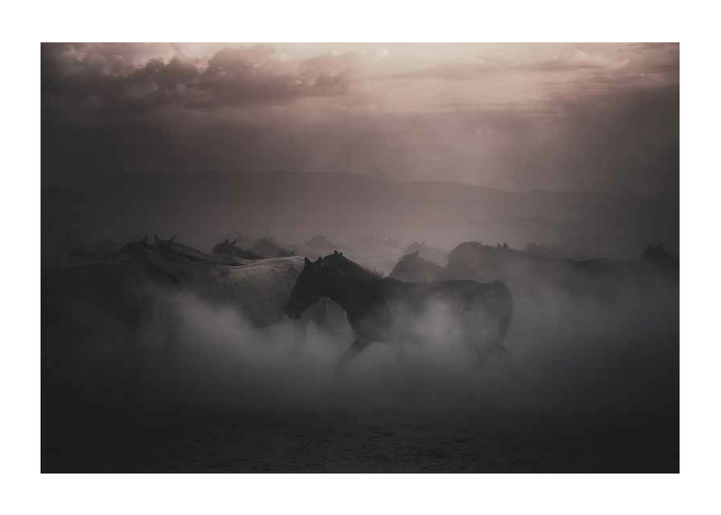 Sunset Horses-1