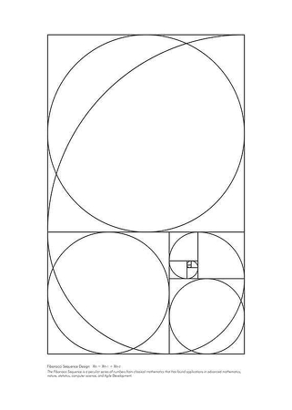 Poster The Fibonacci Sequence