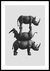 Three Rhinos-0