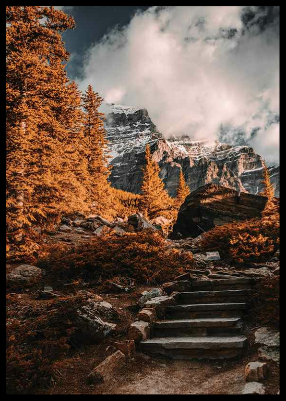 Autumn Wilderness-2