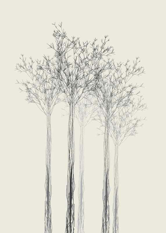 Sketched Trees-3
