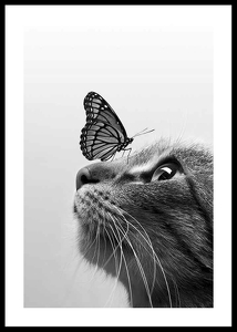 Butterfly Cat-0