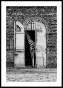 Hiding Giraffe-0
