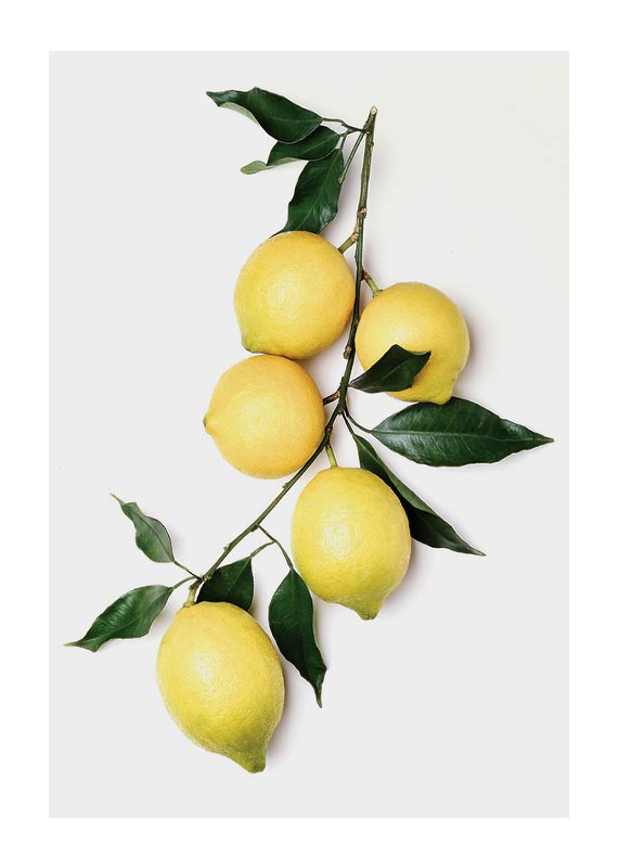 Lemons With Leaves-1