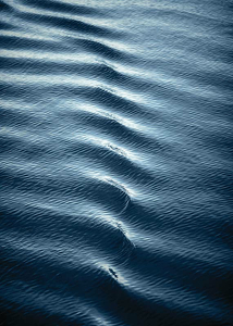 Rippled Water-3