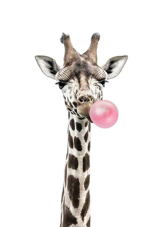 Poster Bubblegum Giraffe