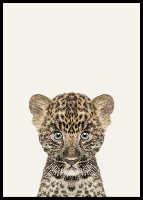 Baby Leopard-2