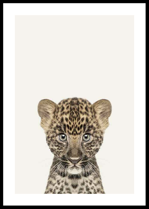 Baby Leopard-0