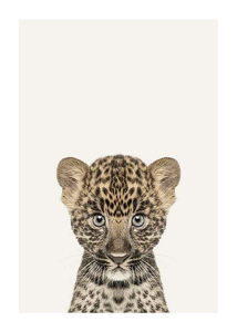 Baby Leopard-1