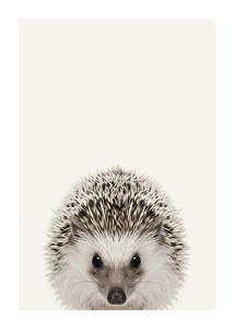 Baby Hedgehog-1