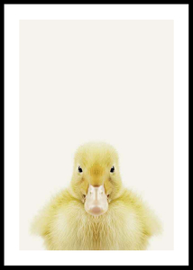 Baby Duck-0