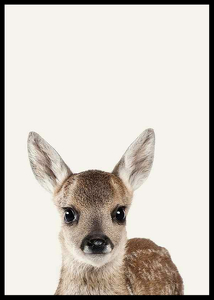 Baby Deer-2