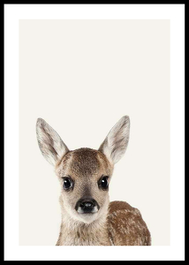 Baby Deer-0
