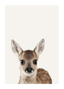 Baby Deer-1