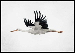 Watercolor Stork-2