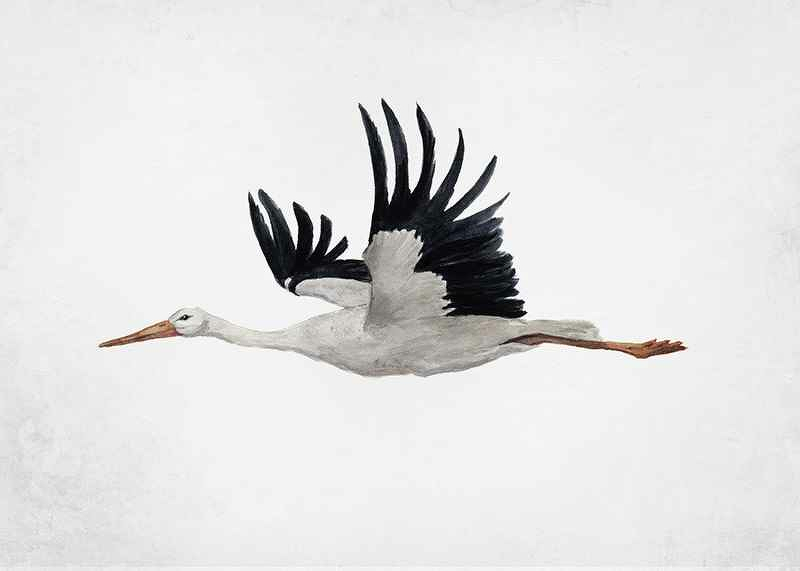 Watercolor Stork-3