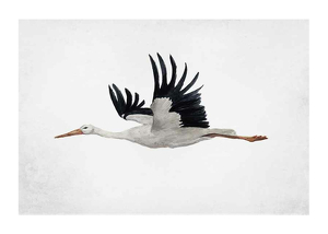 Watercolor Stork-1