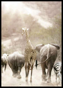 Wild African Animals-2