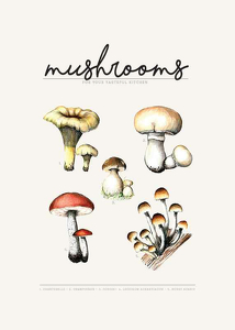 Mushrooms-3