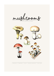 Mushrooms-1