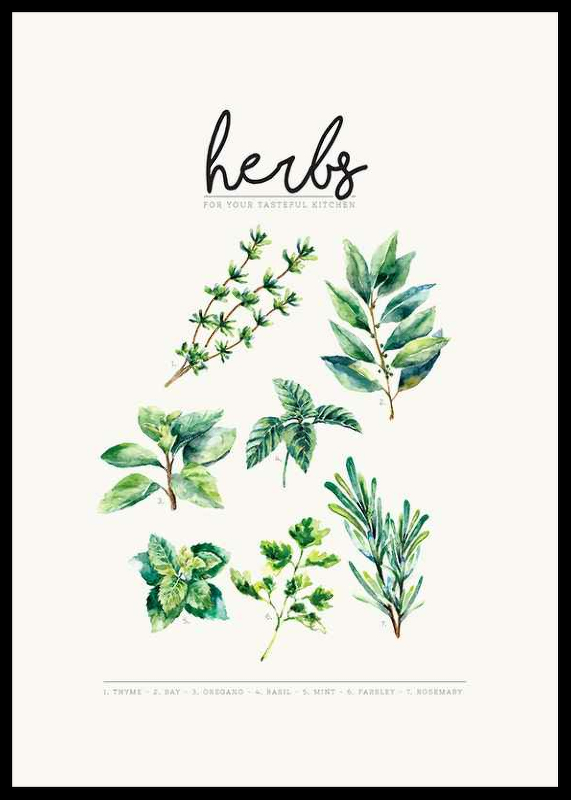 Herbs-2