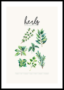 Herbs-0